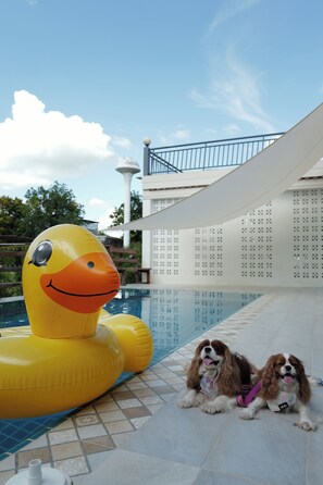 Pool - Khao Yai Pool Villa - Private Pool, Mountain View, BBQ, Pets Friendly (Tambon Mu Si)