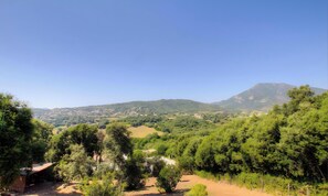 Miscellaneous - Charming 1-Bedroom Apartment Near Beaches and Amenities (Eccica-Suarella)