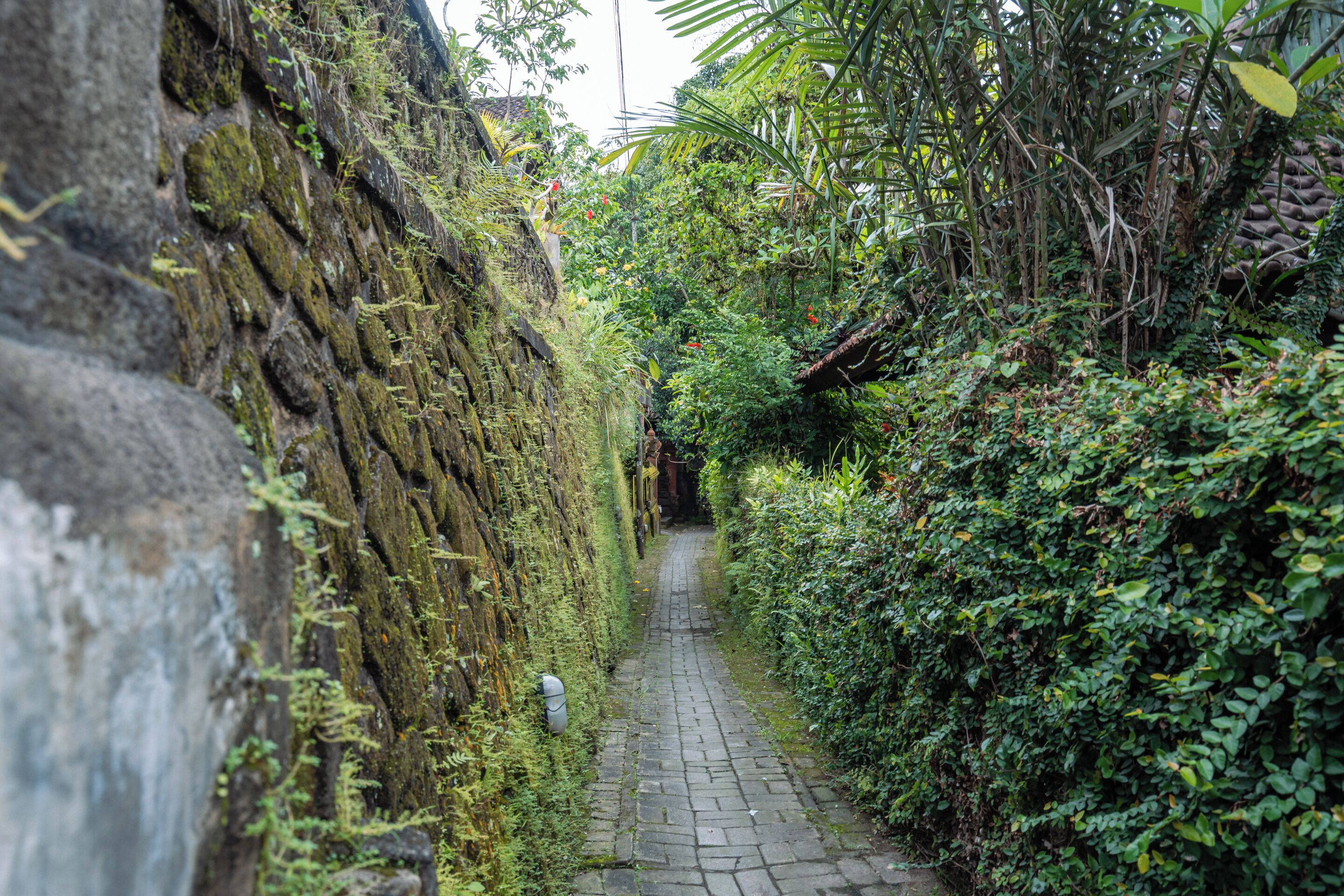 Entrada da propriedade