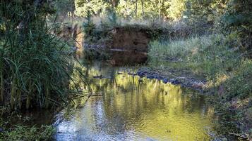 A natural landscape with a water body surrounded by vegetation.