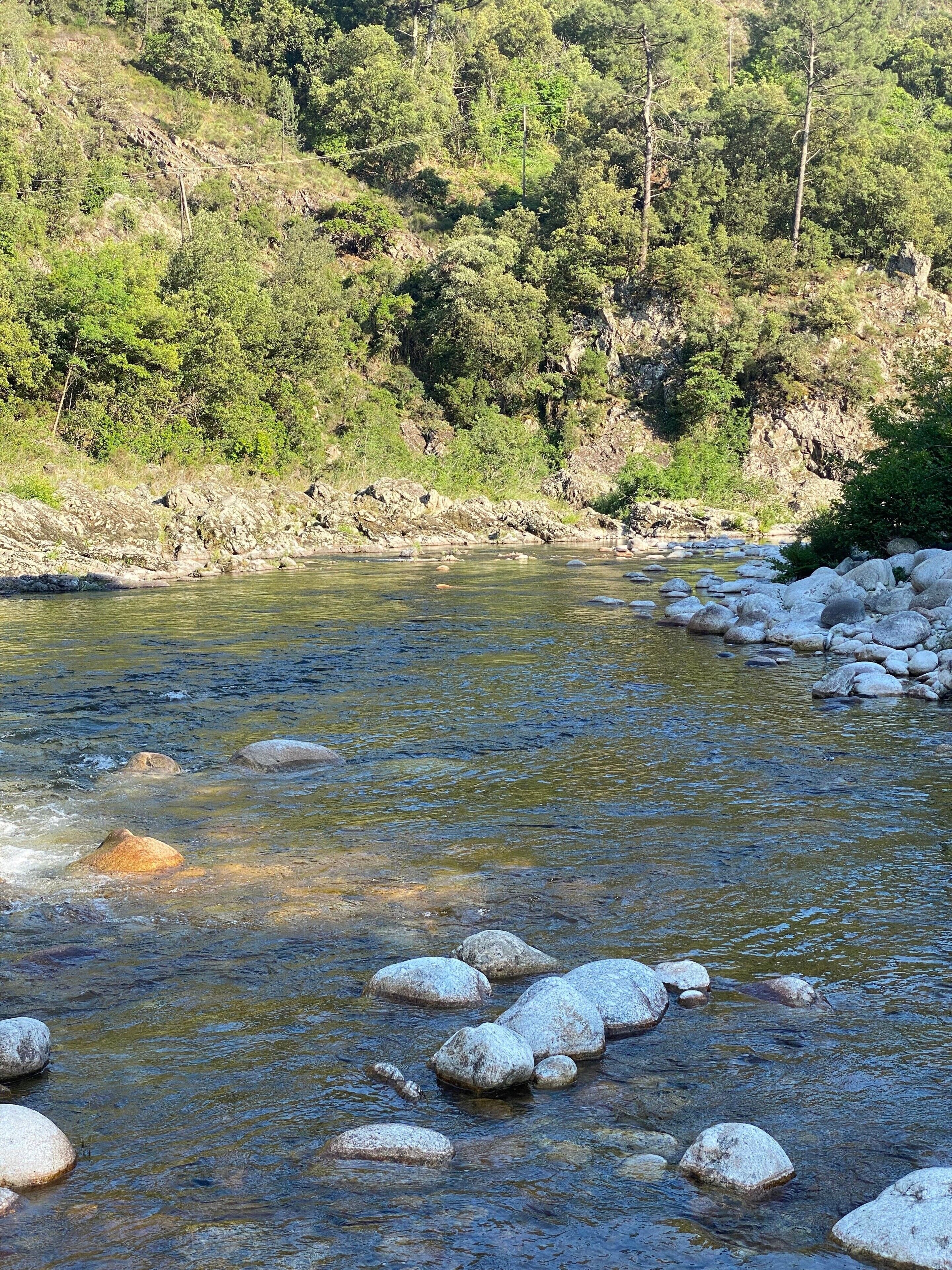 Ein Fluss mit klarem Wasser, umgeben von Felsen und Grün.