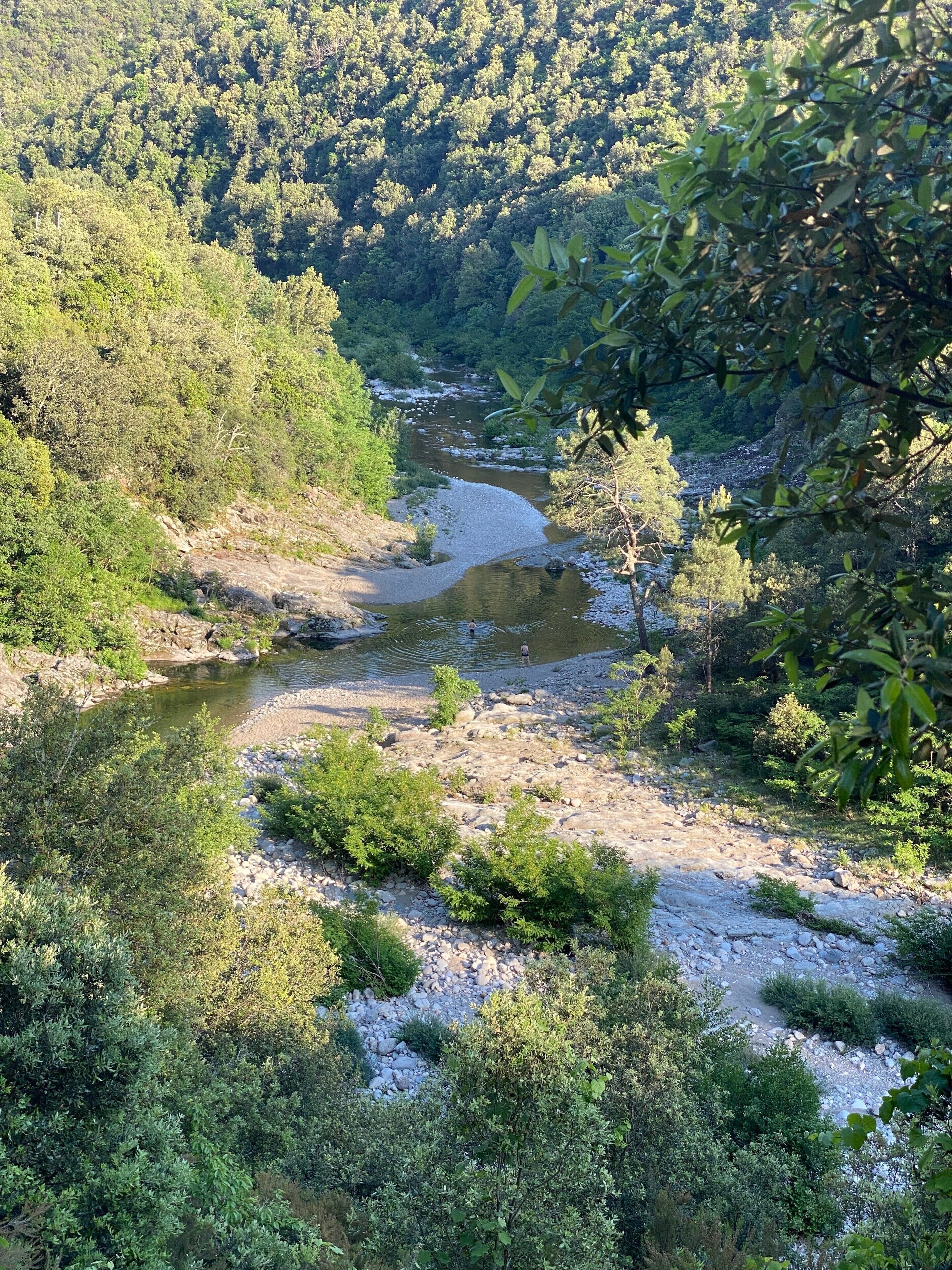 A river flowing through a forested area with rocky terrain and dense vegetation.