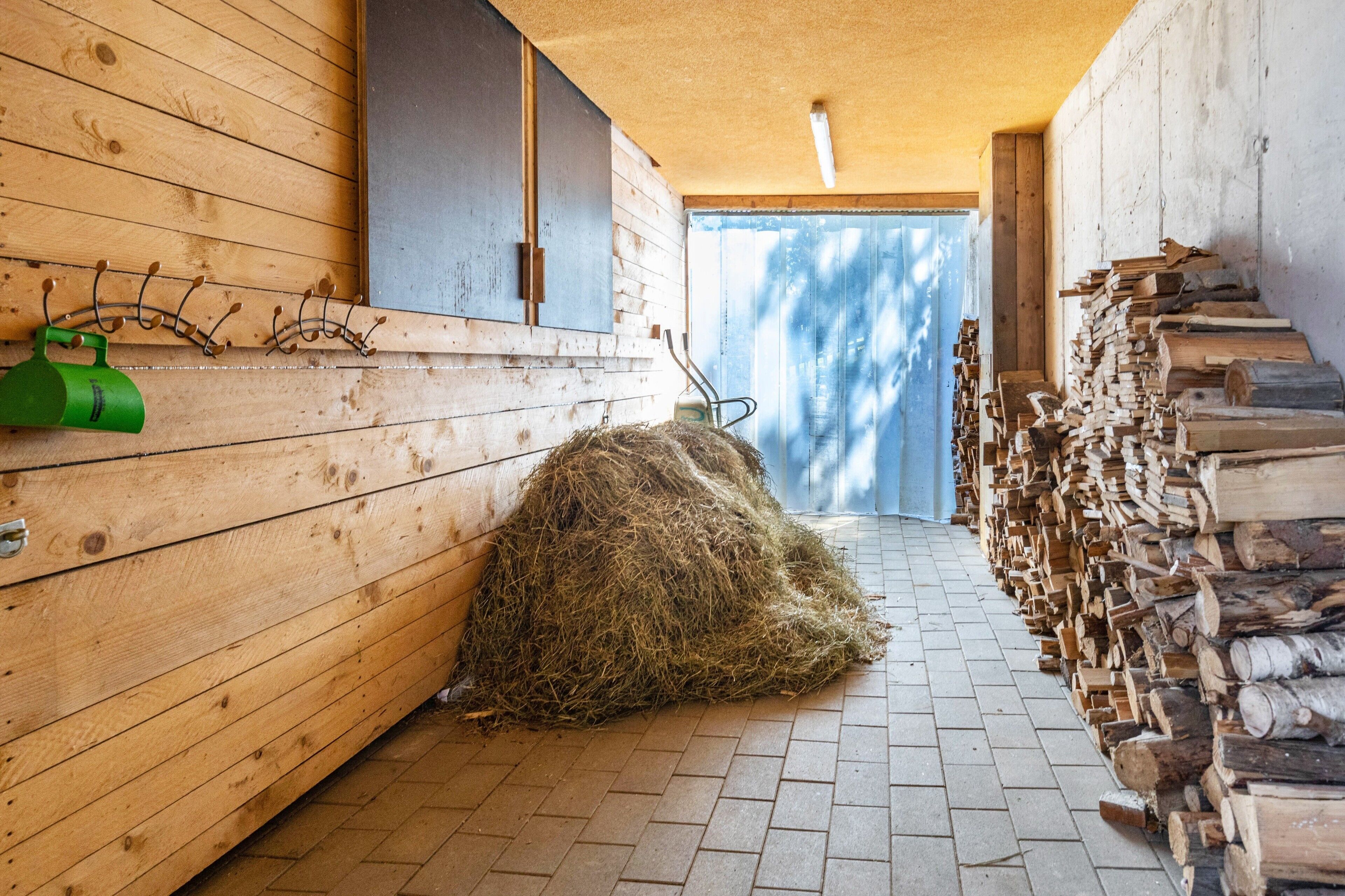 A wooden interior with a hay bale, a green container, and stacked firewood.
