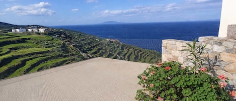 A terrace with a view of the sea, stone walls, and a garden with pink flowers.