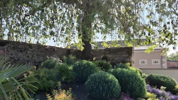 A landscaped garden with a variety of plants and a small water feature.