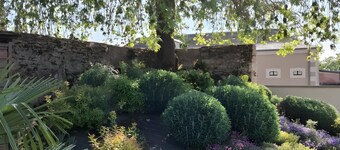 Guest Rooms - La Capucine