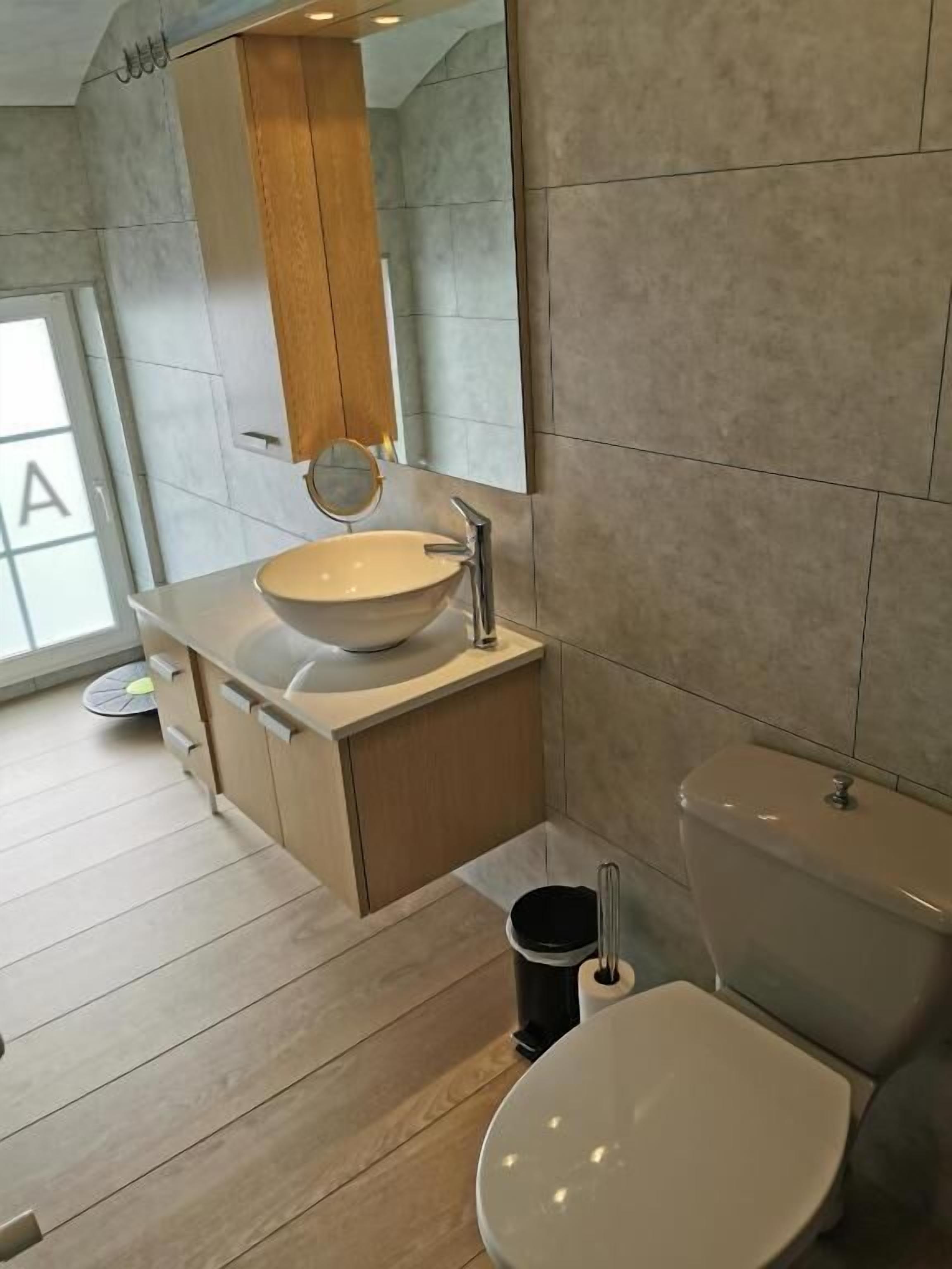 A modern bathroom with a large sink, mirror, and toilet.