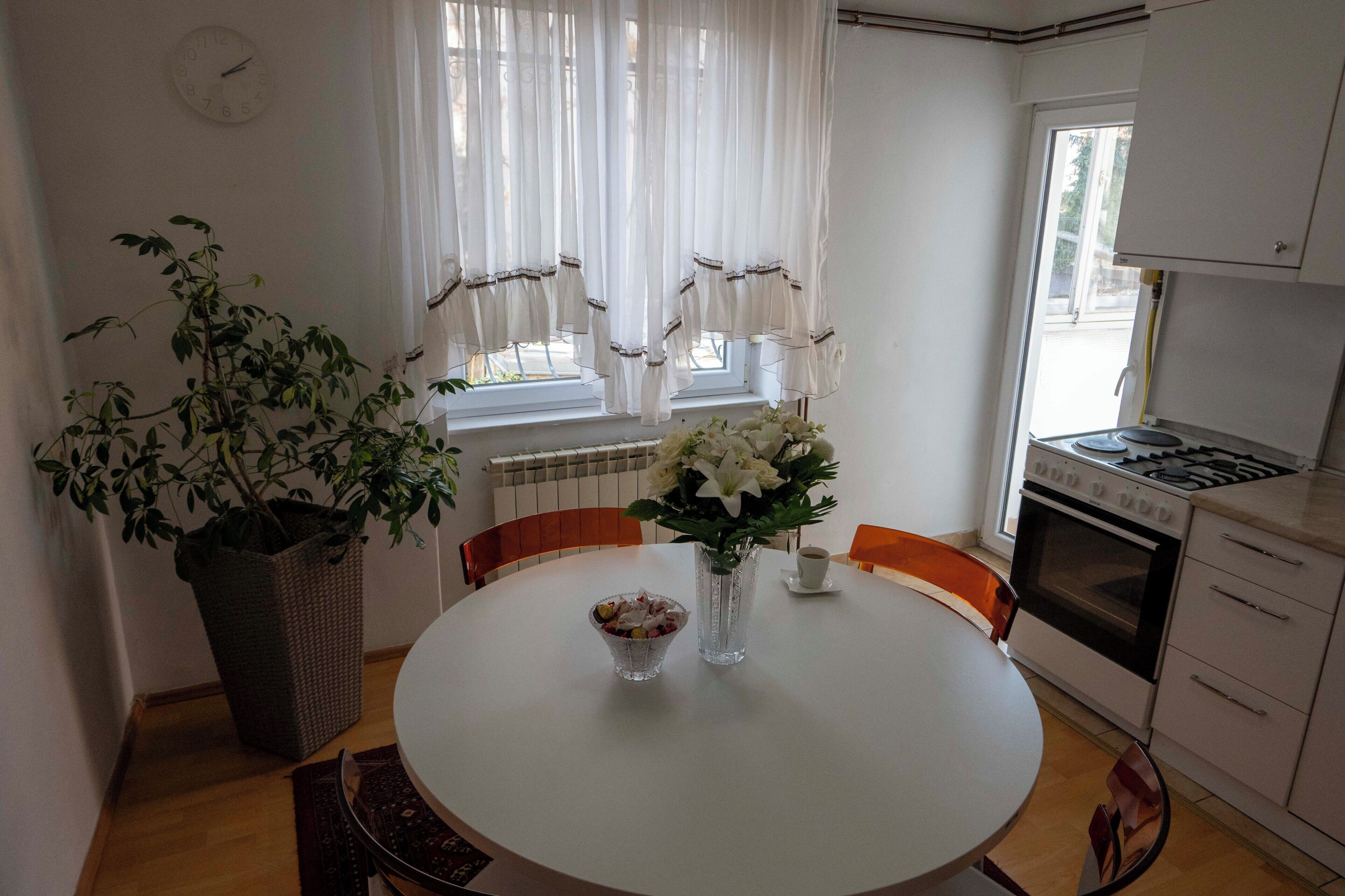 Family Apartment, 2 Bedrooms, Balcony, Garden View | Private kitchen