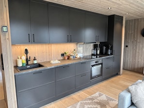 A modern kitchen with grey cabinets, a built-in oven, and a sink. - Mountain cabin in Sirdal - great destination all year round (Agder)