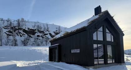 Mountain cabin in Sirdal - great destination all year round