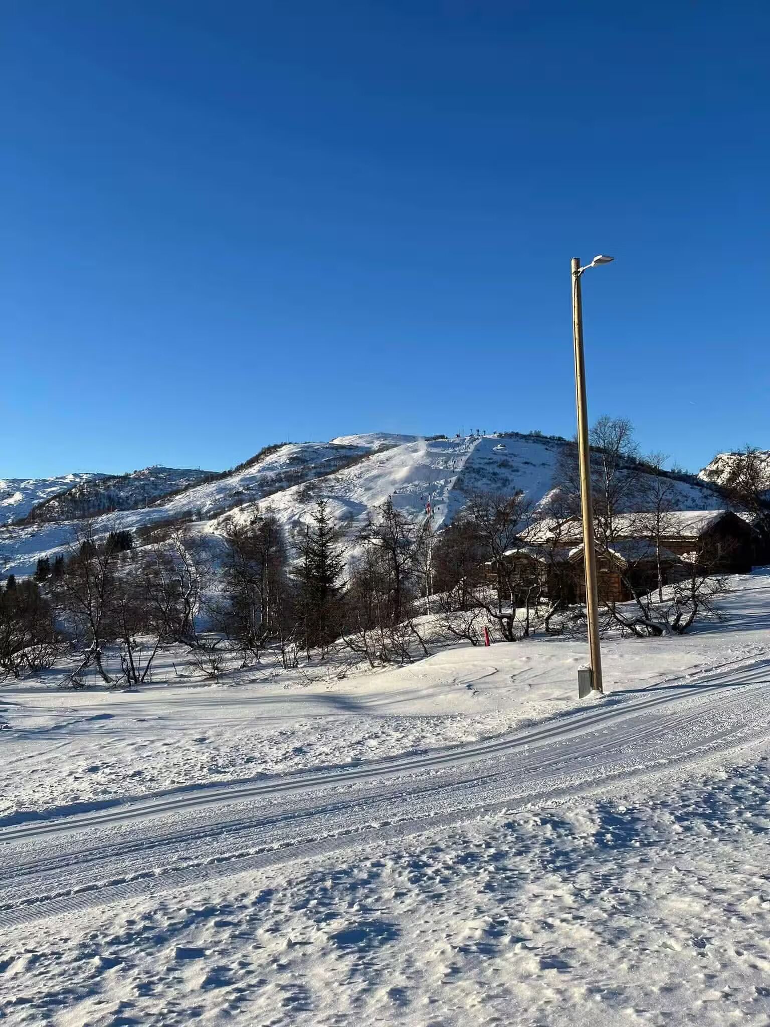 A snowy landscape with a clear sky, a street lamp, and a mountain in the background.