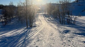 A snow-covered road with tire tracks, surrounded by leafless trees, under a clear sky.