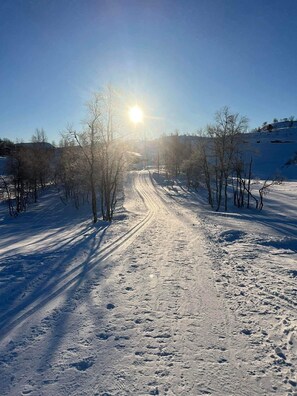 A snow-covered road with tire tracks, surrounded by leafless trees, under a clear sky.