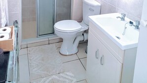 Une salle de bain avec des toilettes, une douche et un lavabo.