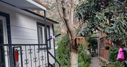 Akkelle Apart Bungalow