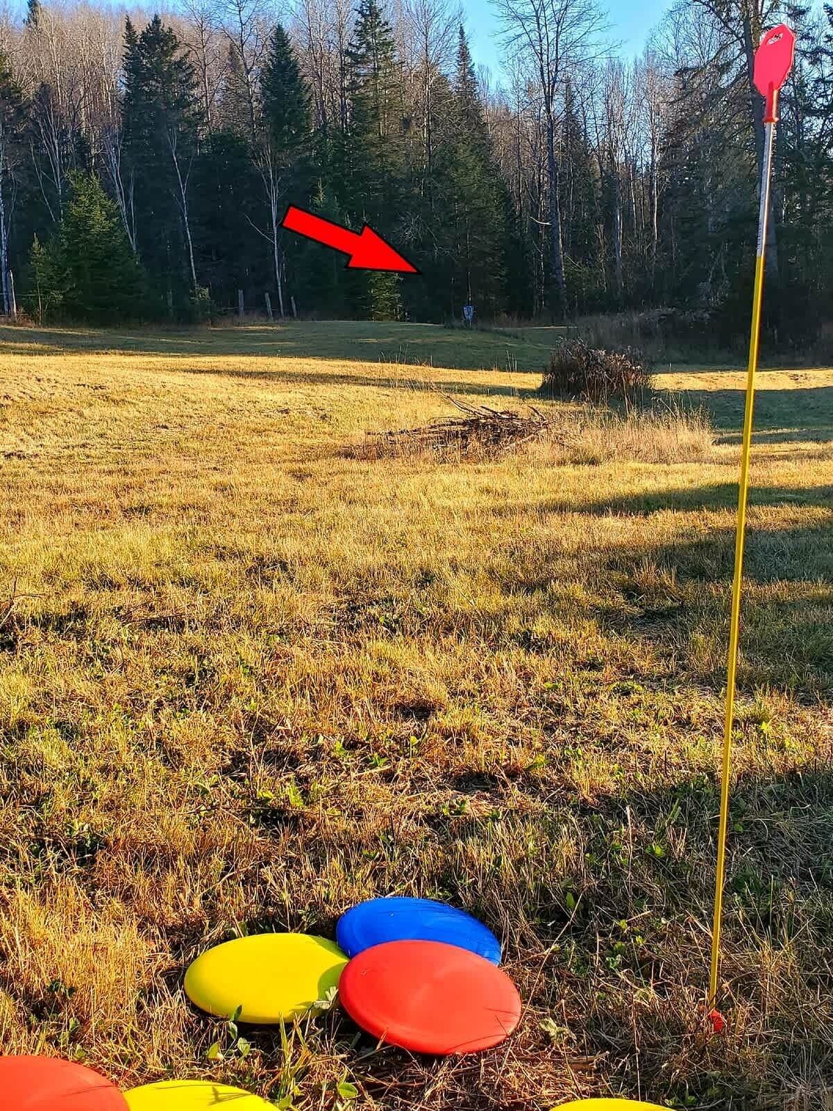 Parco della struttura