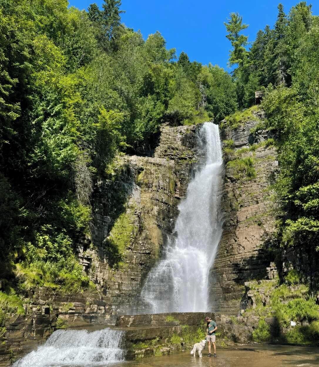 Une cascade dans une zone boisée, avec une personne et un chien à proximité.