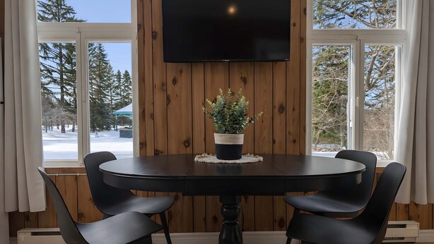Un coin repas avec une table ronde, quatre chaises, une plante en pot et un téléviseur à écran plat fixé à un mur en bois.