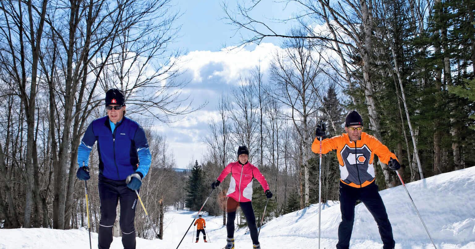 Un groupe de personnes pratique le ski de fond dans une forêt enneigée, avec des arbres et une montagne en arrière-plan.