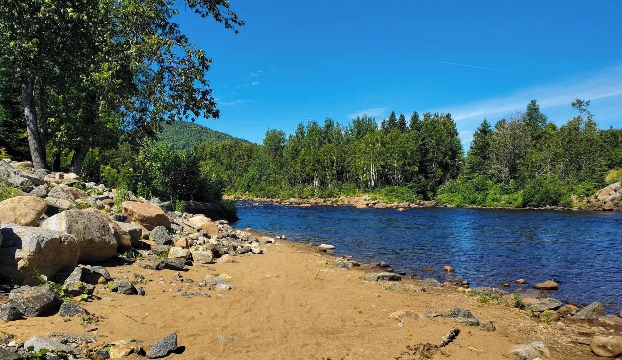 A river with a rocky shoreline and dense forest in the background.