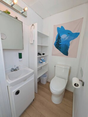Shower, hair dryer, towels - Shack Cozy with Spa, near Massif Charlevoix & MSA (La Côte-de-Beaupré)