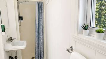 A bathroom with a shower, sink, towel rack, and a window with plants.