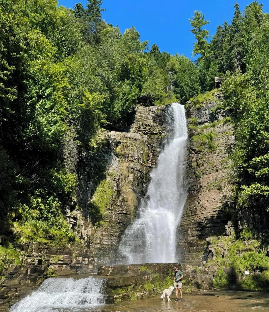 A waterfall in a forested area with a person and a dog nearby.
