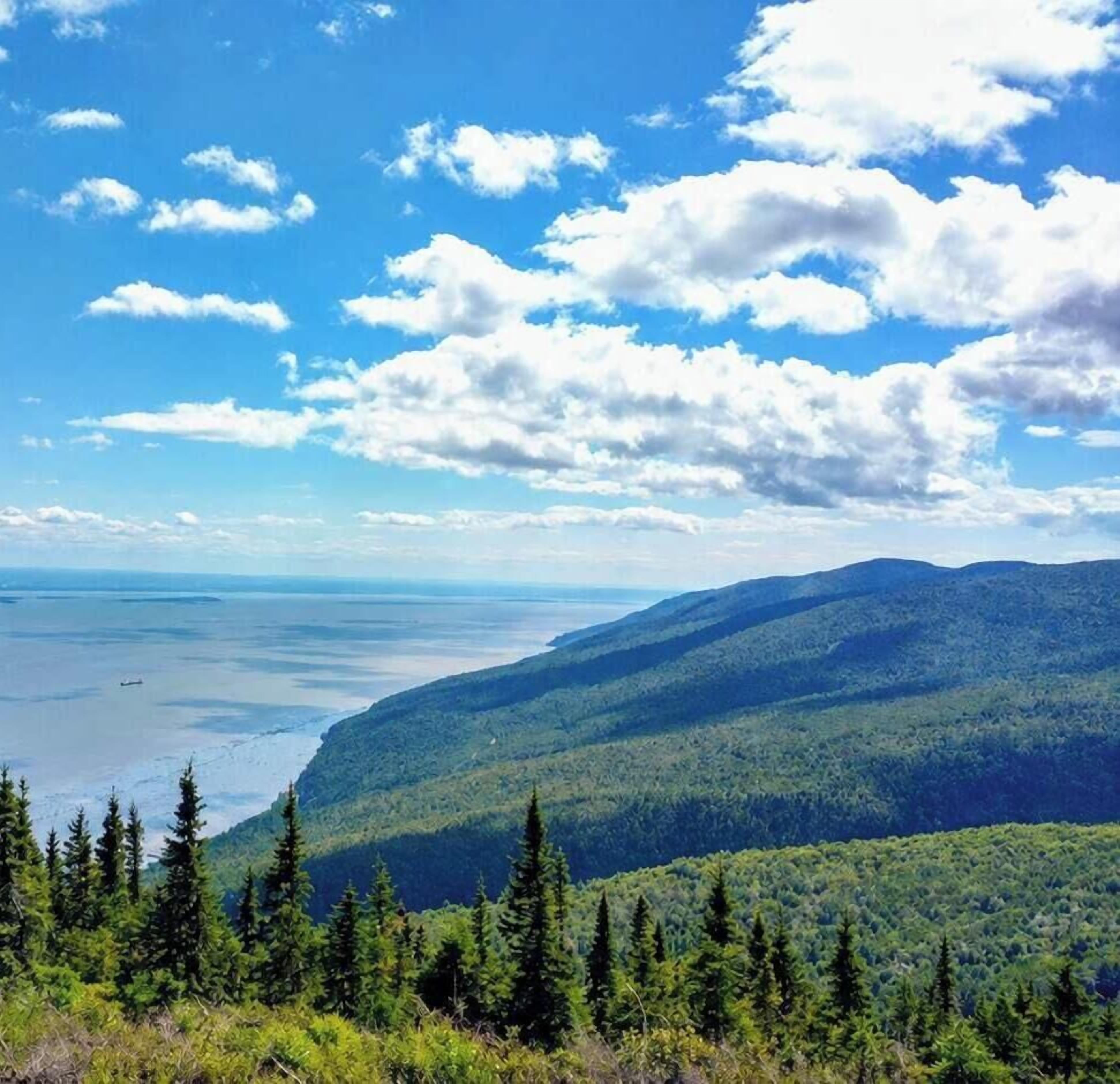 A mountainous landscape with dense forest, a body of water, and a clear sky.
