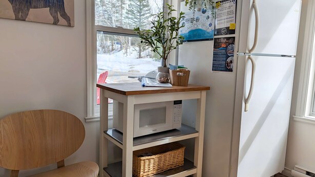 Keittiössä on valkoinen jääkaappi, puinen tuoli, pieni koriin varustettu kärry ja ikkuna, josta avautuu näkymä puihin ja jonka ulkopuolella on punainen tuoli.