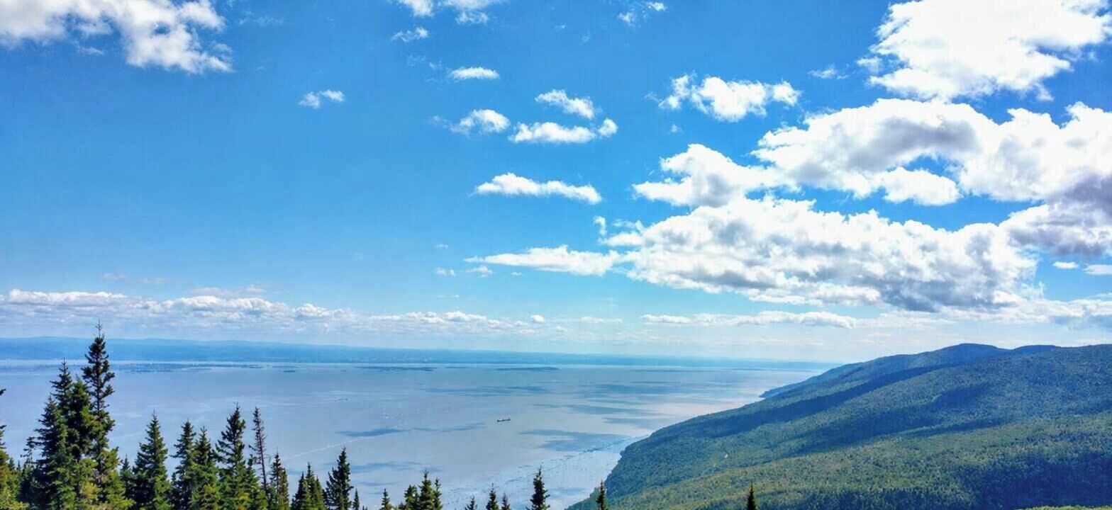 Eine gebirgige Landschaft mit dichtem Wald, einem Gewässer und blauem Himmel.
