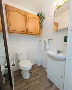 Shower, hair dryer, towels - Chalet with Spa in the Forest - Nature Awaits! (La Côte-de-Beaupré)