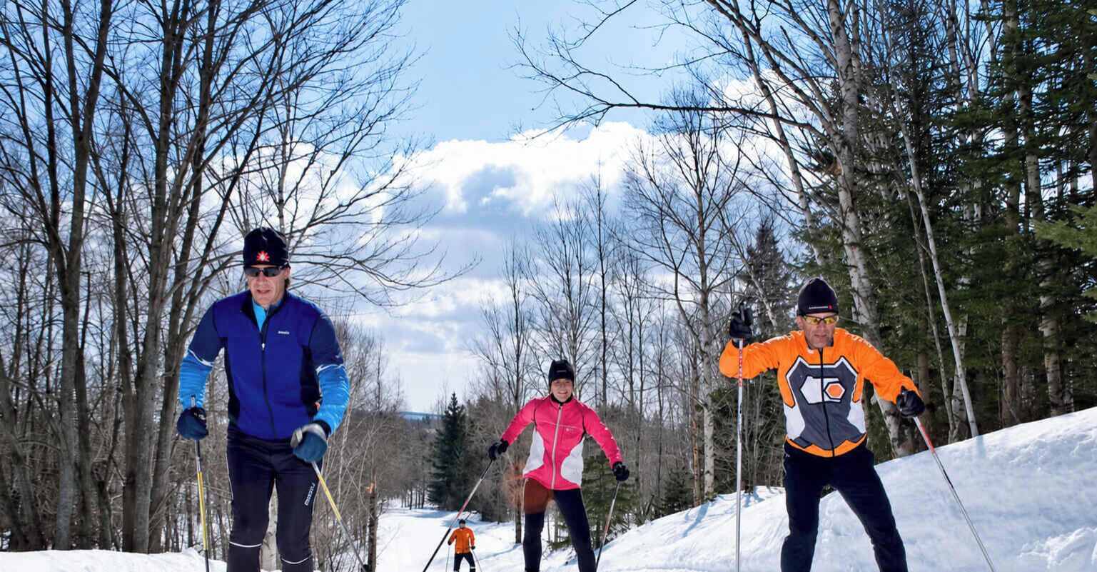 A group of people cross-country skiing in a snowy forest with trees and a mountain in the background.