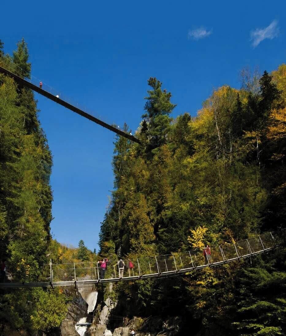 A suspension bridge with people walking across it, surrounded by dense forest.