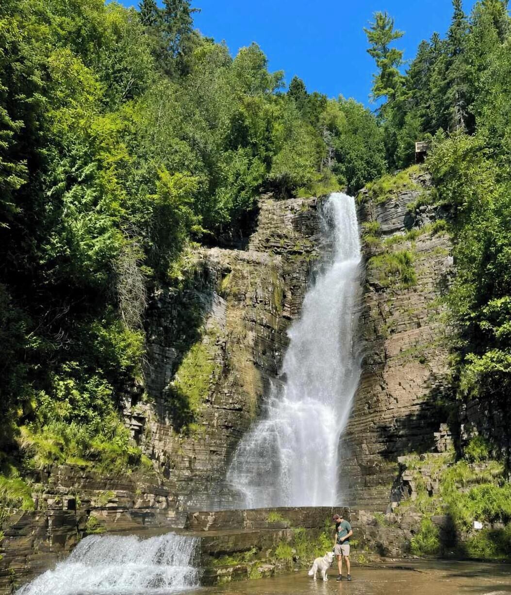 A waterfall in a forested area with a person and a dog nearby.