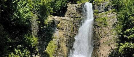 A waterfall in a forested area with a person and a dog nearby.