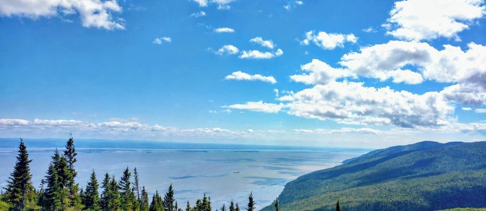 Eine gebirgige Landschaft mit dichtem Wald, einem Gewässer und blauem Himmel.
