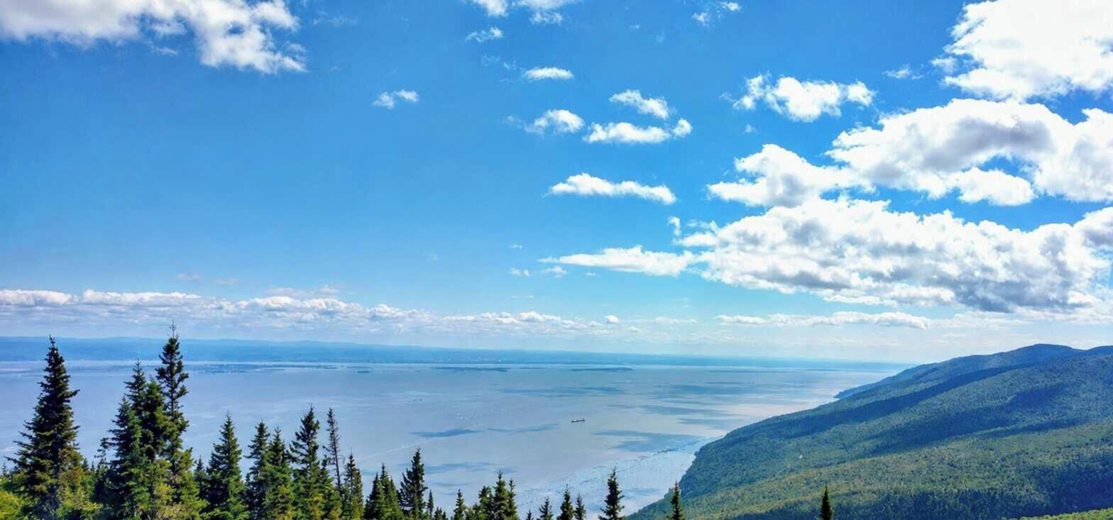 Un paysage montagneux avec une forêt dense, une étendue d’eau et un ciel dégagé.