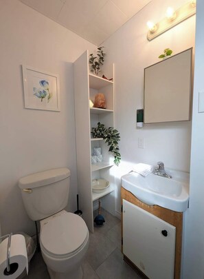 Shower, hair dryer, towels - Charlevoix - Chalet w/ Spa, BBQ, Firepit & Nature (Saint-Tite-des-Caps)