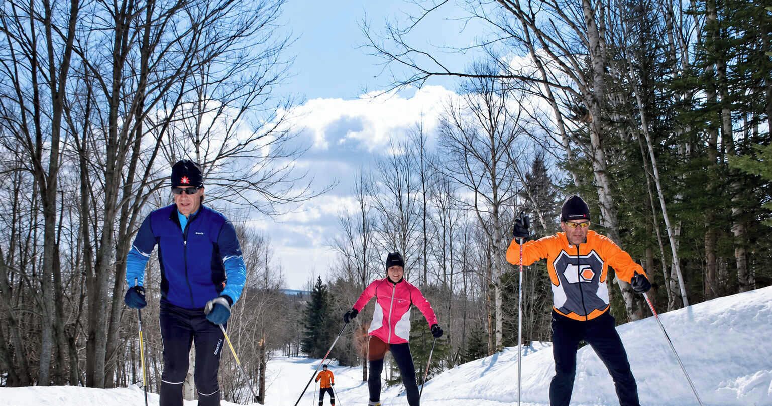 En grupp människor åker längdskidor i en snötäckt skog med träd och ett berg i bakgrunden.
