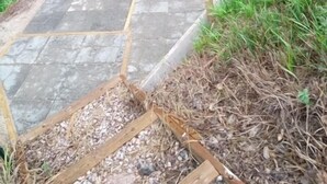 Een geplaveid pad met een bank en plantenbak.