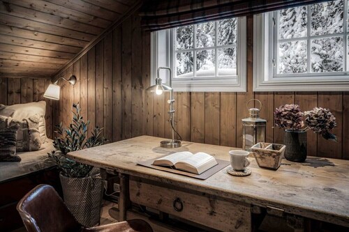 TH622 Trysil Group Chalet Ski-in out, Spa
