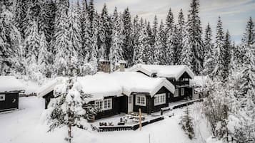 Eksteriør