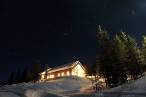 Una cabana amb un sostre inclinat, envoltada de neu i arbres, sota un cel estrellat.