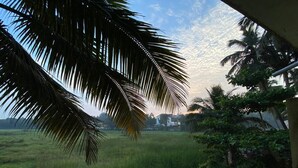 A view of a lush green field with a palm tree in the foreground and a building in the background. - GFV Stays (Candolim)