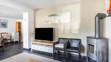 Fernseher, Kamin
