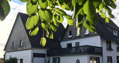 Winterberg Lodge: 8 Bathrooms, Near Ski Slopes – Family Retreat in Sauerland