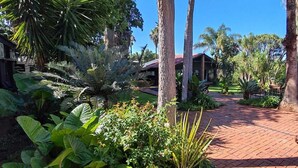 Un sendero pavimentado que conduce a un edificio rodeado de exuberante vegetación tropical.