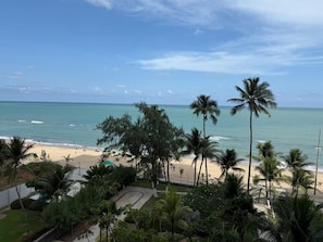 Vista de playa con palmeras y cielo despejado.