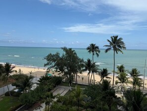 Vista da praia com palmeiras e céu claro.