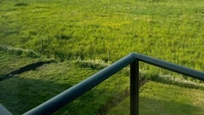 A grassy field with a clear sky and distant trees. - Room-serene Guest Room Escape in Asker, (Asker)